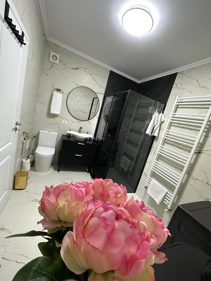 Apartament Bisera 蒂米什瓦拉 外观 照片